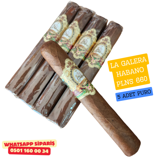 La Galera Habano Pilones 5'li Puro Paket