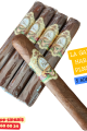 La Galera Habano Pilones 5'li Puro Paket