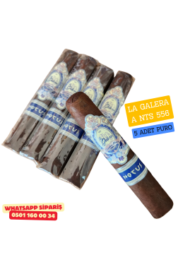 La Galera Anemoi Notus 5'li Puro Paket