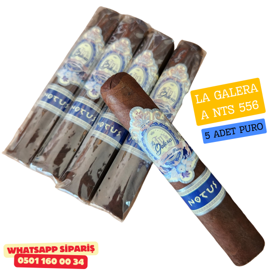 La Galera Anemoi Notus 5'li Puro Paket