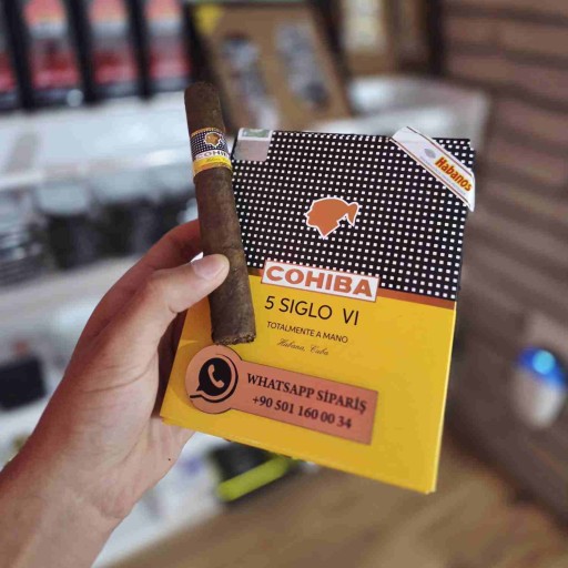 Cohiba Siglo VI 5's