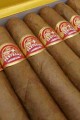 Partagas Mille Fleur - 10'lu Puro Kutu
