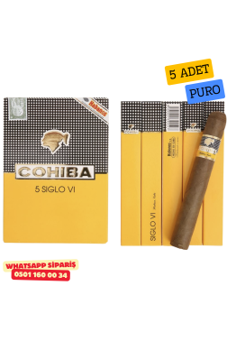 Cohiba Siglo VI 5's