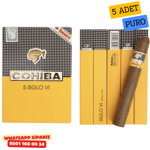 Cohiba Siglo VI 5's