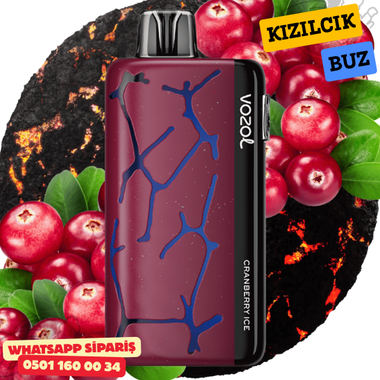 Vozol Neon CranBerry Ice 45000 PUFF