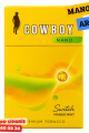 Cowboy Nano Slim Mango Aromalı Sigara x10 Paket