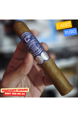 Aganorsa Leaf C Robusto 554 - 1 Adet Puro