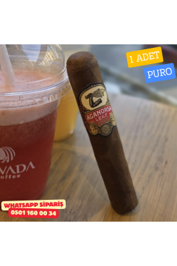 Aganorsa Leaf Sleaf Robusto 554 - 1 Adet Puro