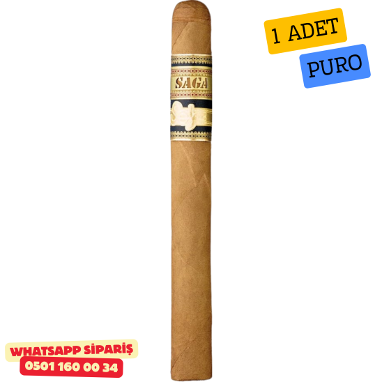 Saga Solaz Churchill 748 - 1 Adet Puro