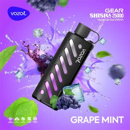 Vozol Gear Grape Mint 25000 PUFF