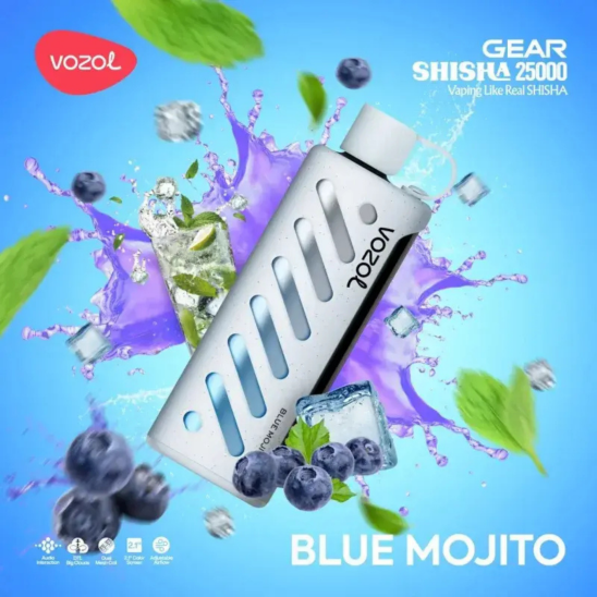 Vozol Gear Blue Mojito 25000 PUFF