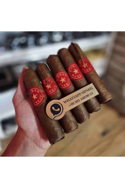 Cuban Parejo Serie Habano Claro 1364 5'li Puro Paket