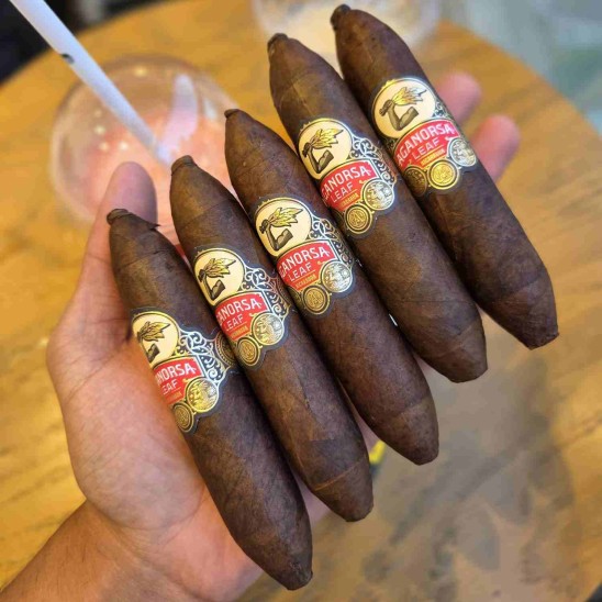 Aganorsa Leaf Lntic Prfct 460 - 5'li Puro Paket