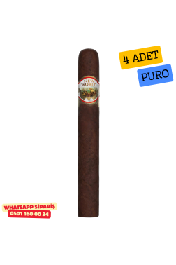 AJ Fernandez New World Oscuro Toro 4'lü Puro Paket