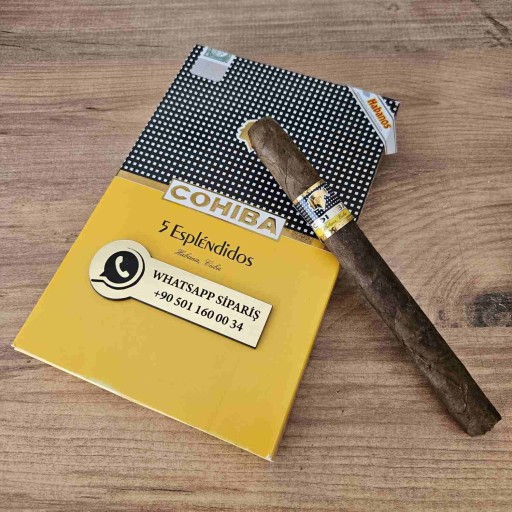 Cohiba Esplendidos 5's