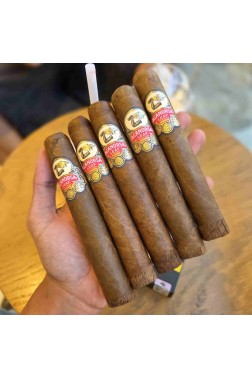 Aganorsa Leaf Lntic Trch 660 - 5'li Puro Paket