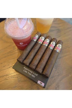 Aganorsa Leaf Lntic Trch 660 - 5'li Puro Paket