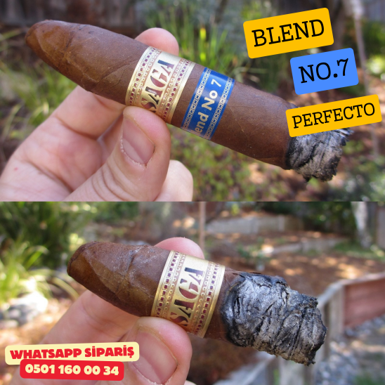 Saga Blend No.7 Perfecto - 1 Adet Puro