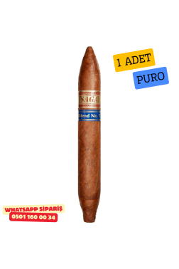 Saga Blend No.7 Perfecto - 1 Adet Puro