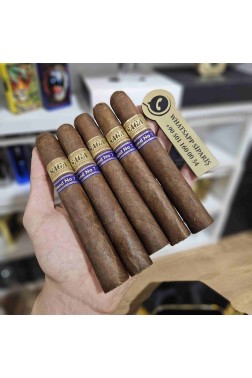 Saga Blend No.7 Robusto - 5'li Puro Paket