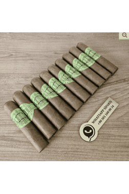 Eleanor No2 Petit Robusto 10lu Puro Paket