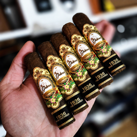 La Galera 1936 Half Corona 5li Puro Paket