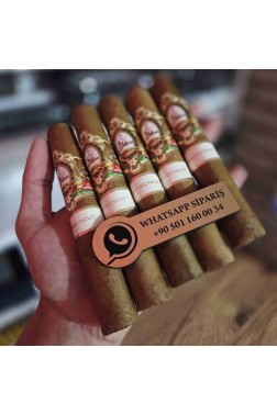 La Galera Connecticut El Lector 5li Puro Paket