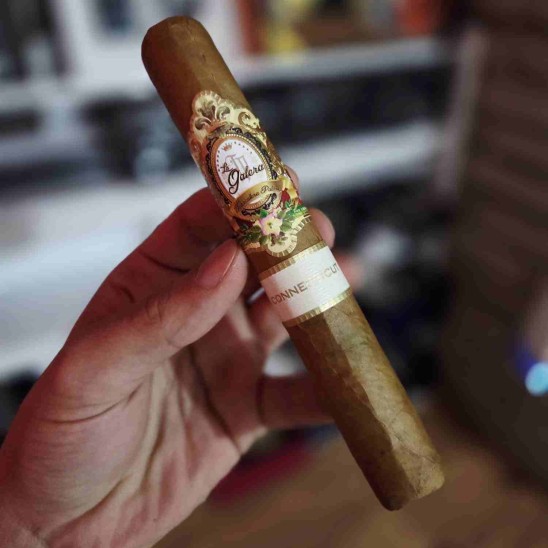 La Galera Connecticut El Lector 5li Puro Paket La Galera Connecticut El Lector 5li Puro Paket