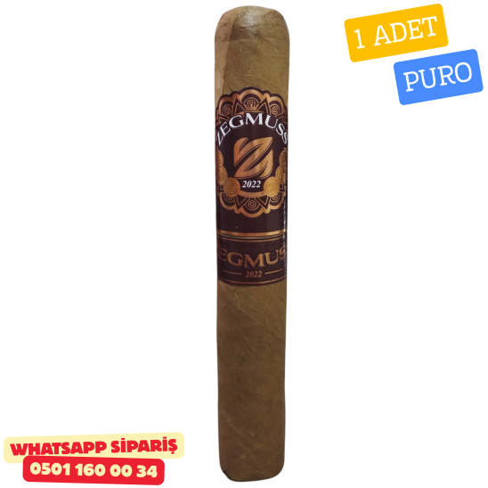 Zegmuss Gordo Connecticut 660 - 1 Adet Puro