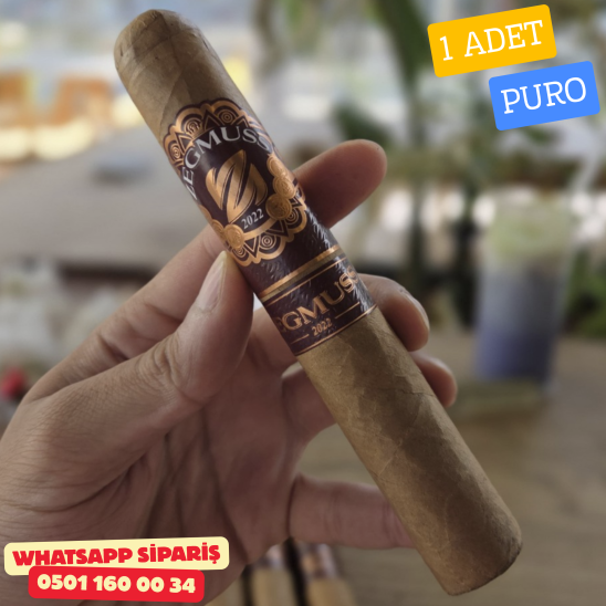 Zegmuss Gordo Connecticut 660 - 1 Adet Puro