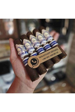 La Galera Anemoi Notus 556 5li Puro Paket