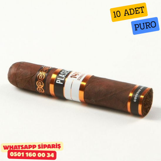 Plasencia Cosecha 149 Santa Fe Gordo 10'lu Puro Kutu Plasencia Cosecha 149 Santa Fe Gordo 10'lu Puro Kutu