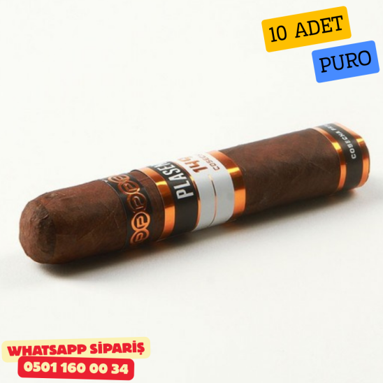 Plasencia Cosecha 149 Santa Fe Gordo 10'lu Puro Kutu Plasencia Cosecha 149 Santa Fe Gordo 10'lu Puro Kutu