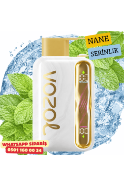 Vozol STAR 40000 PUFF - Cool Mint