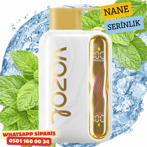 Vozol STAR 40000 PUFF - Cool Mint