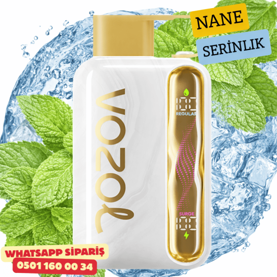 Vozol STAR 40000 PUFF - Cool Mint