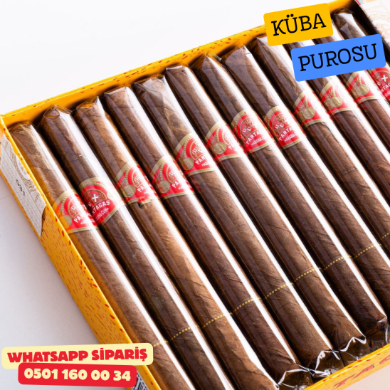 Partagas Chicos 25'li Cigariilos Puro