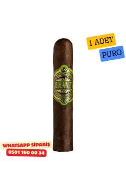Eleanor No8 Petit Edmundo 1 Adet Puro