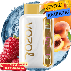Vozol STAR 40000 PUFF - White Peach Raspberry
