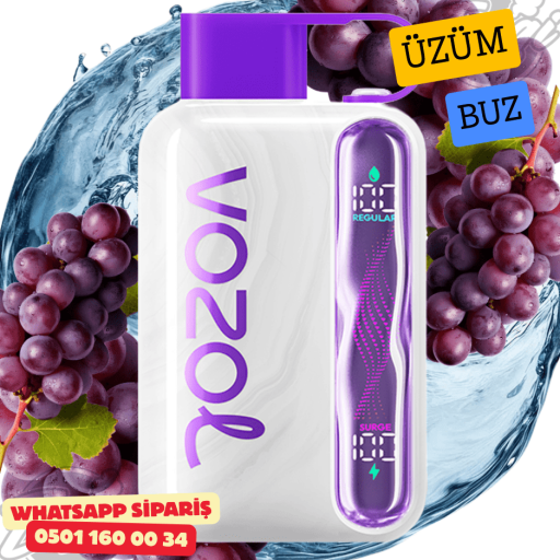 Vozol STAR 40000 PUFF - Grape Ice