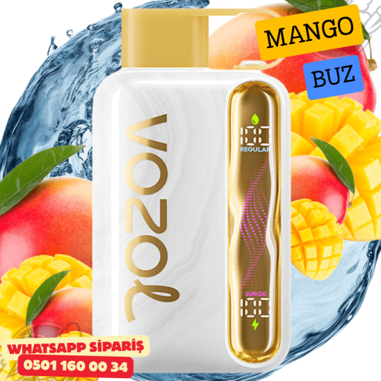Vozol STAR 40000 PUFF - Mango Ice