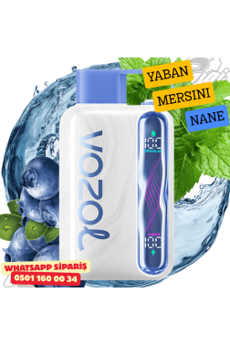 Vozol STAR 40000 PUFF - Blueberry Mınt