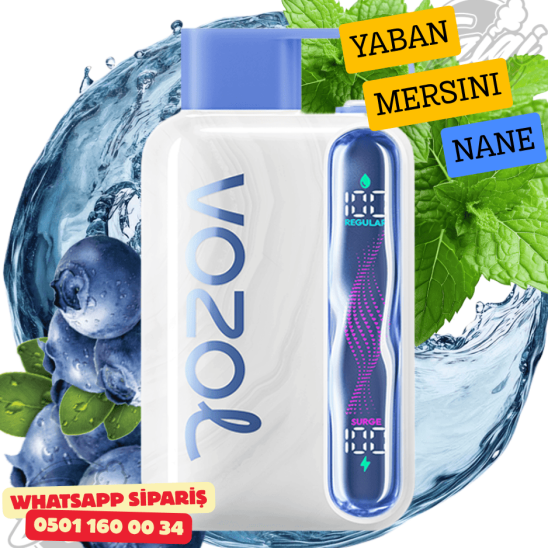 Vozol STAR 40000 PUFF - Blueberry Mınt Vozol STAR 40000 PUFF - Blueberry Mınt