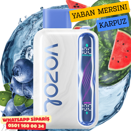 Vozol STAR 40000 PUFF - Blueberry Watermelon