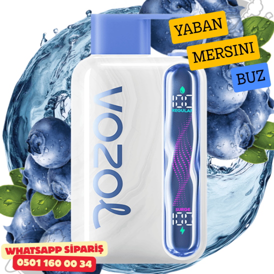 Vozol STAR 40000 PUFF - Blueberry Ice