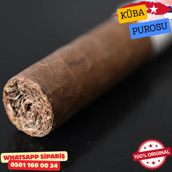 Hoyo De Monterrey Epicure No 2 – 25’li Puro Kutu