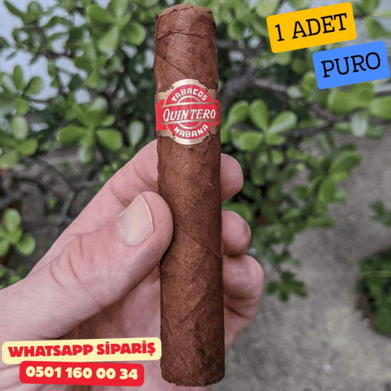 Quintero FV Favoritos 1 Adet Puro (Küba Purosu)