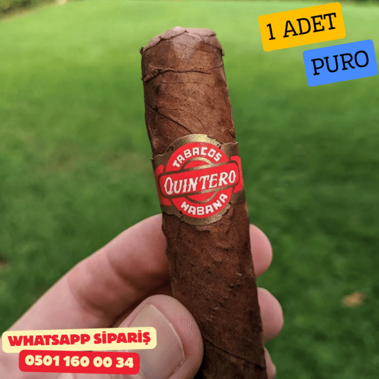 Quintero FV Favoritos 1 Adet Puro (Küba Purosu)