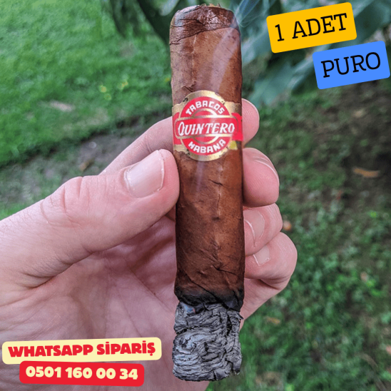 Quintero FV Favoritos 1 Adet Puro (Küba Purosu)