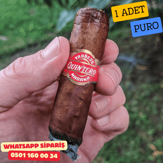 Quintero FV Favoritos 1 Adet Puro (Küba Purosu)
